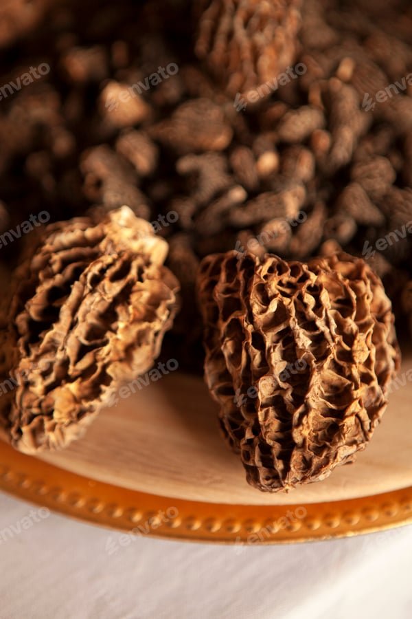 Les morilles séchées : une pépite gastronomique à découvrir